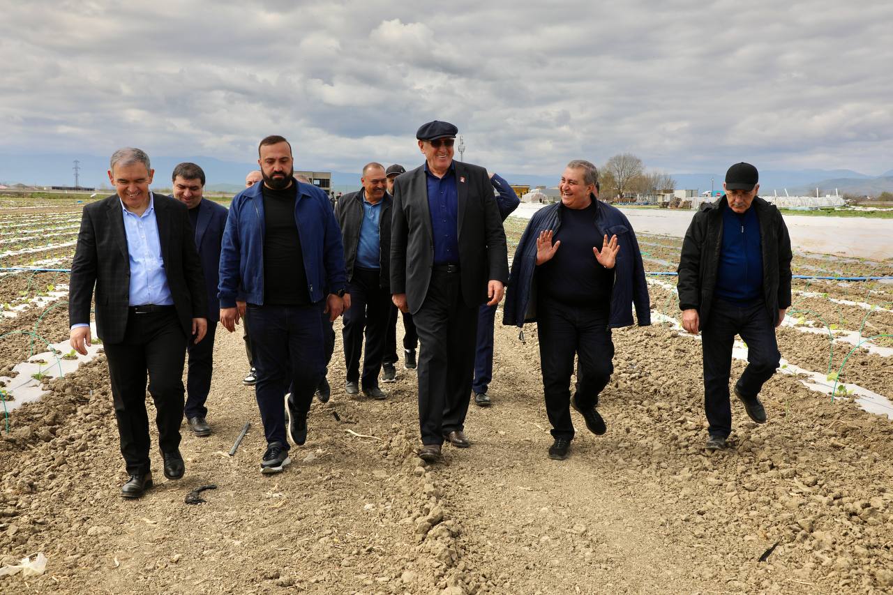 В Дагестане впервые приступают к масштабной посадке кабачков на 50 га