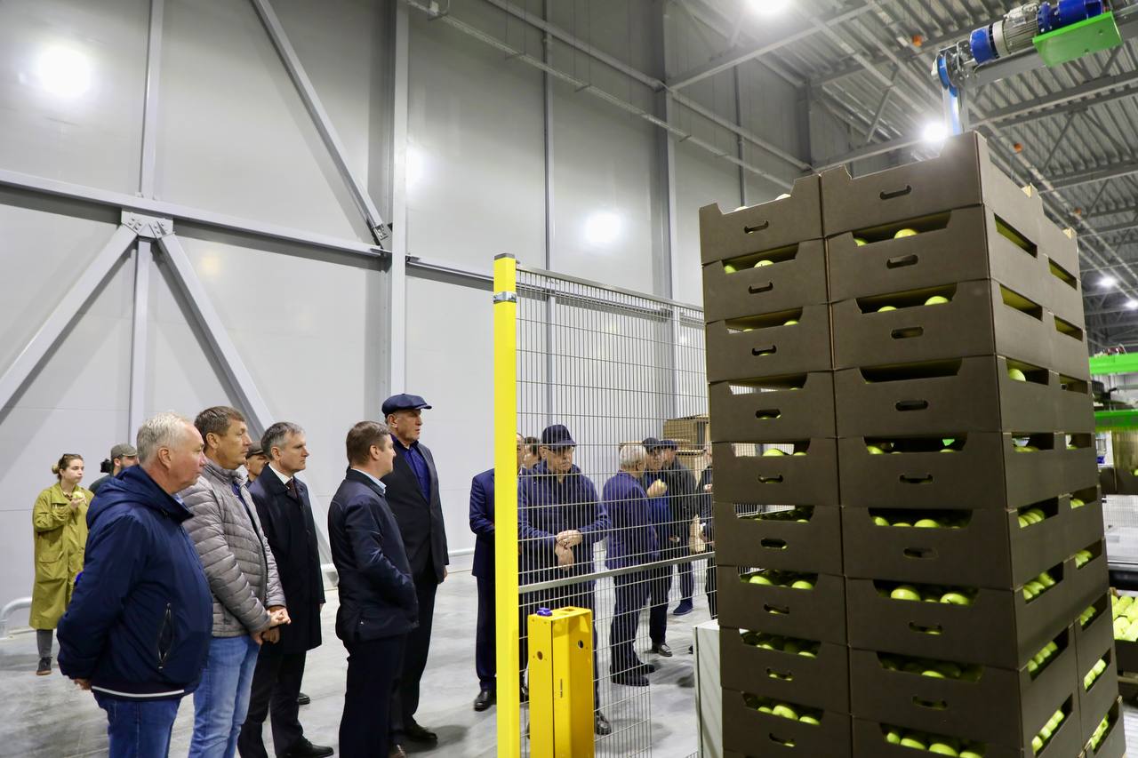 Суперсовременное плодохранилище на 12,5 тыс.тонн успешно работает в Сулейман-Стальском районе