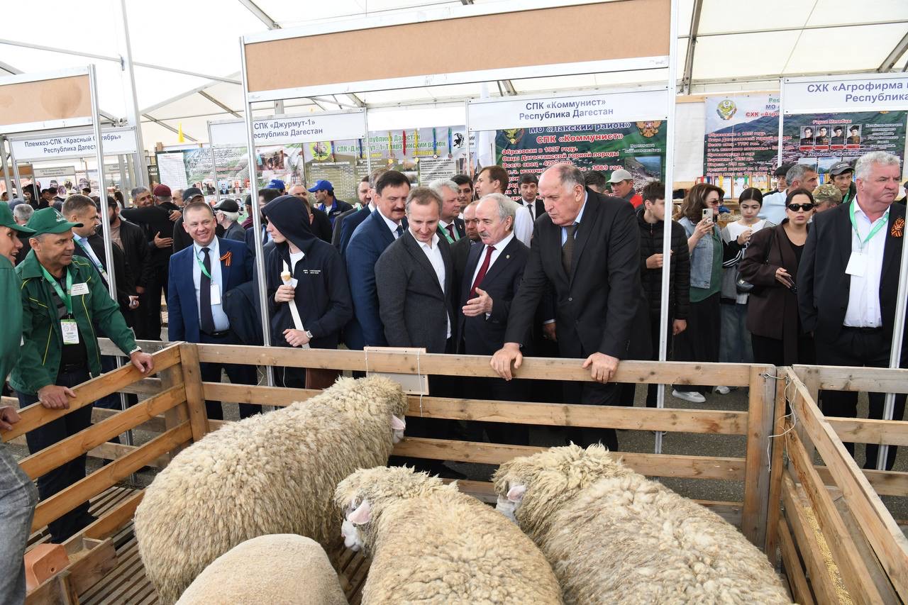 Юбилейная XXV Российская выставка племенных овец и коз стартовала в Дагестане