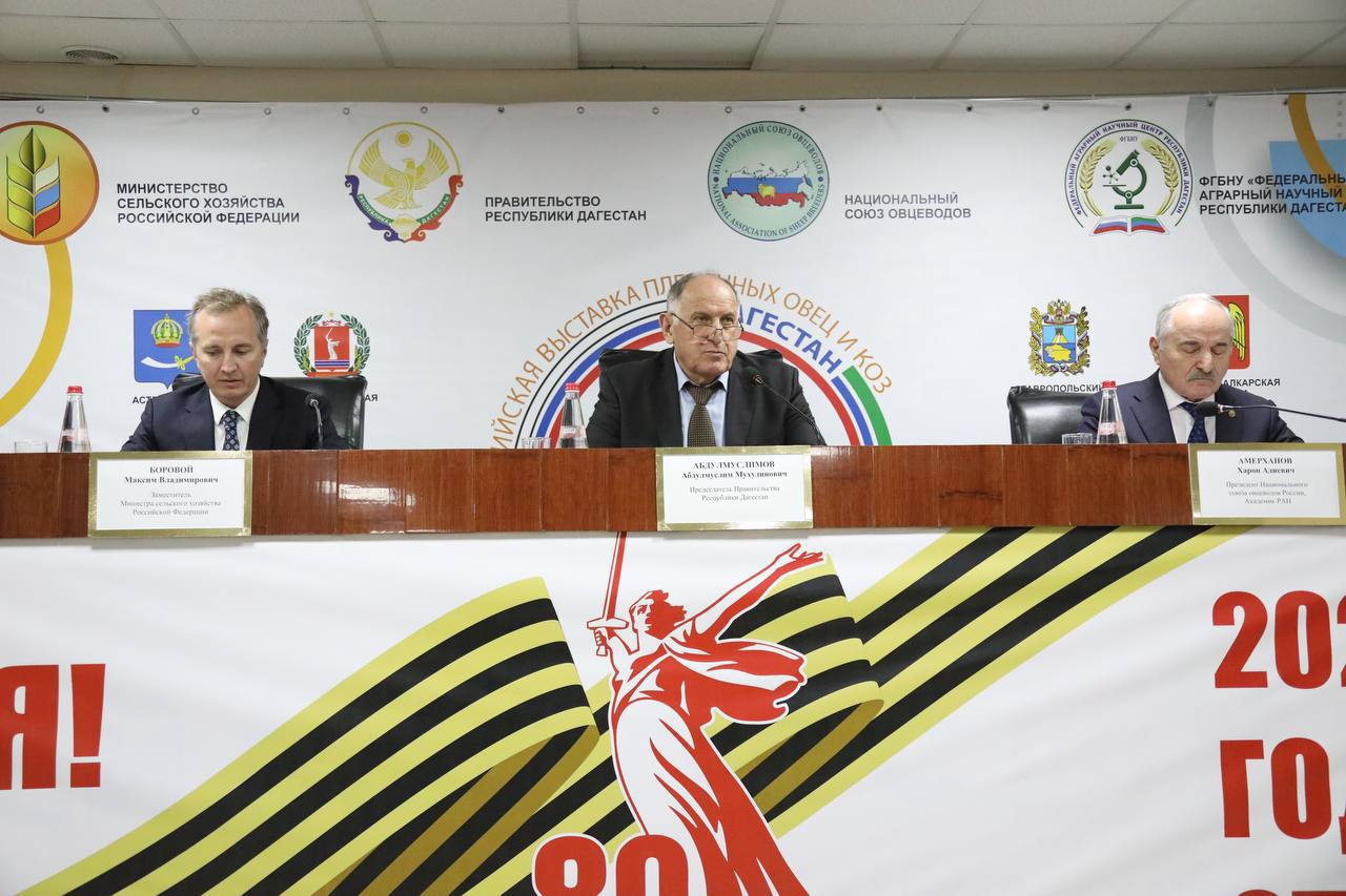 Проблемы развития овцеводства обсудили на российской выставке племенных овец и коз в Каспийске