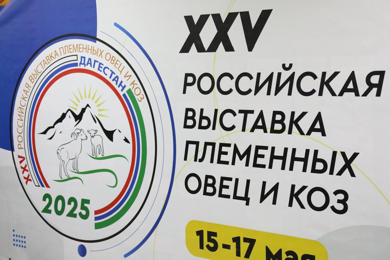 Проблемы развития овцеводства обсудили на российской выставке племенных овец и коз в Каспийске