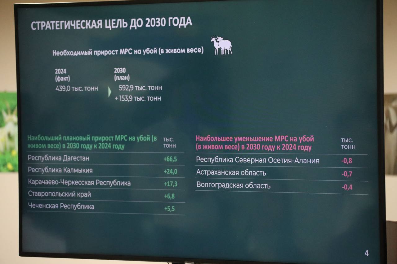 Проблемы развития овцеводства обсудили на российской выставке племенных овец и коз в Каспийске