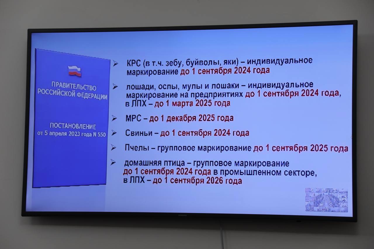 Абдулмуслим Абдулмуслимов поручил до 1 декабря завершить маркировку животных на сельхозпредприятиях Дагестана