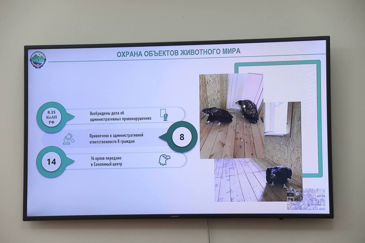 94 свалочных очага за год ликвидировали в Дагестане