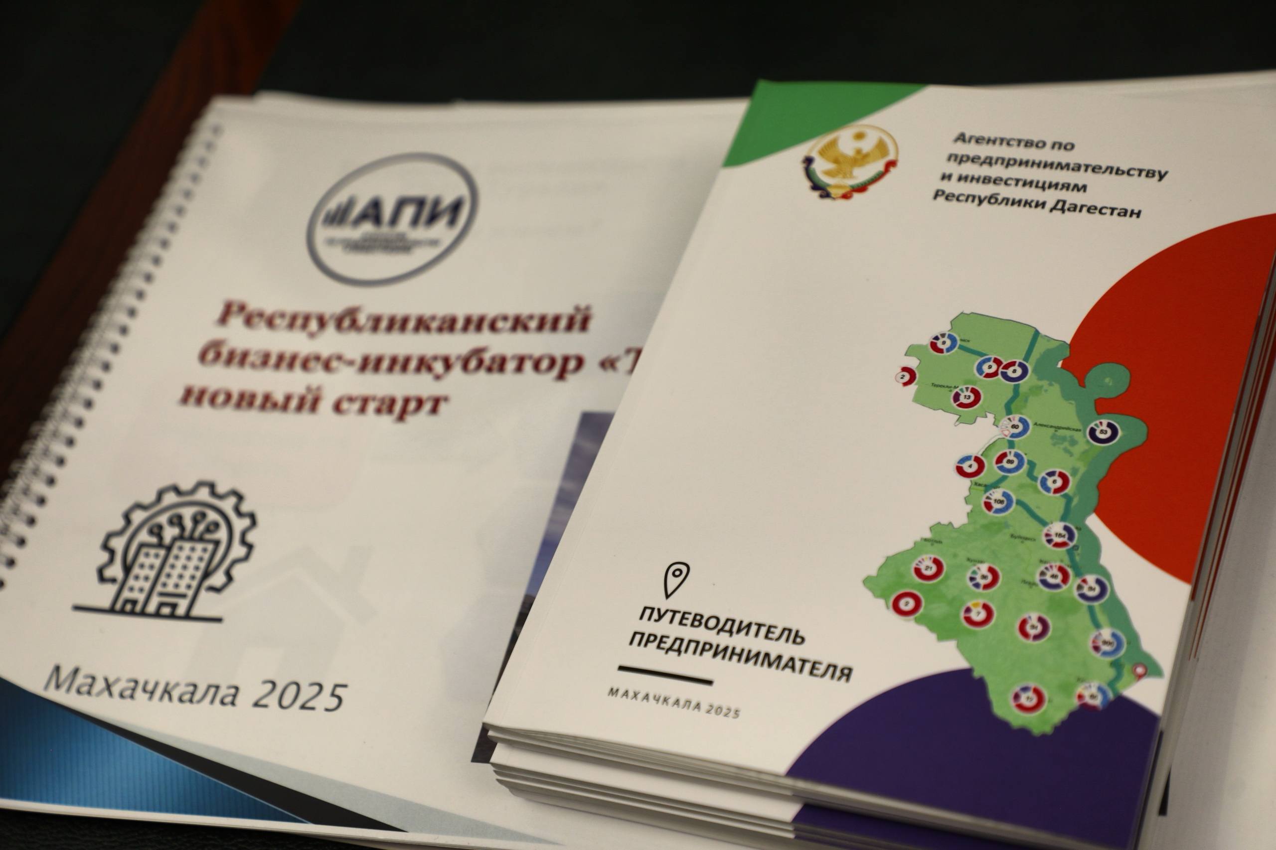 В Дагестане количество субъектов МСП выросло на 6,4%, самозанятых – на 12,3%