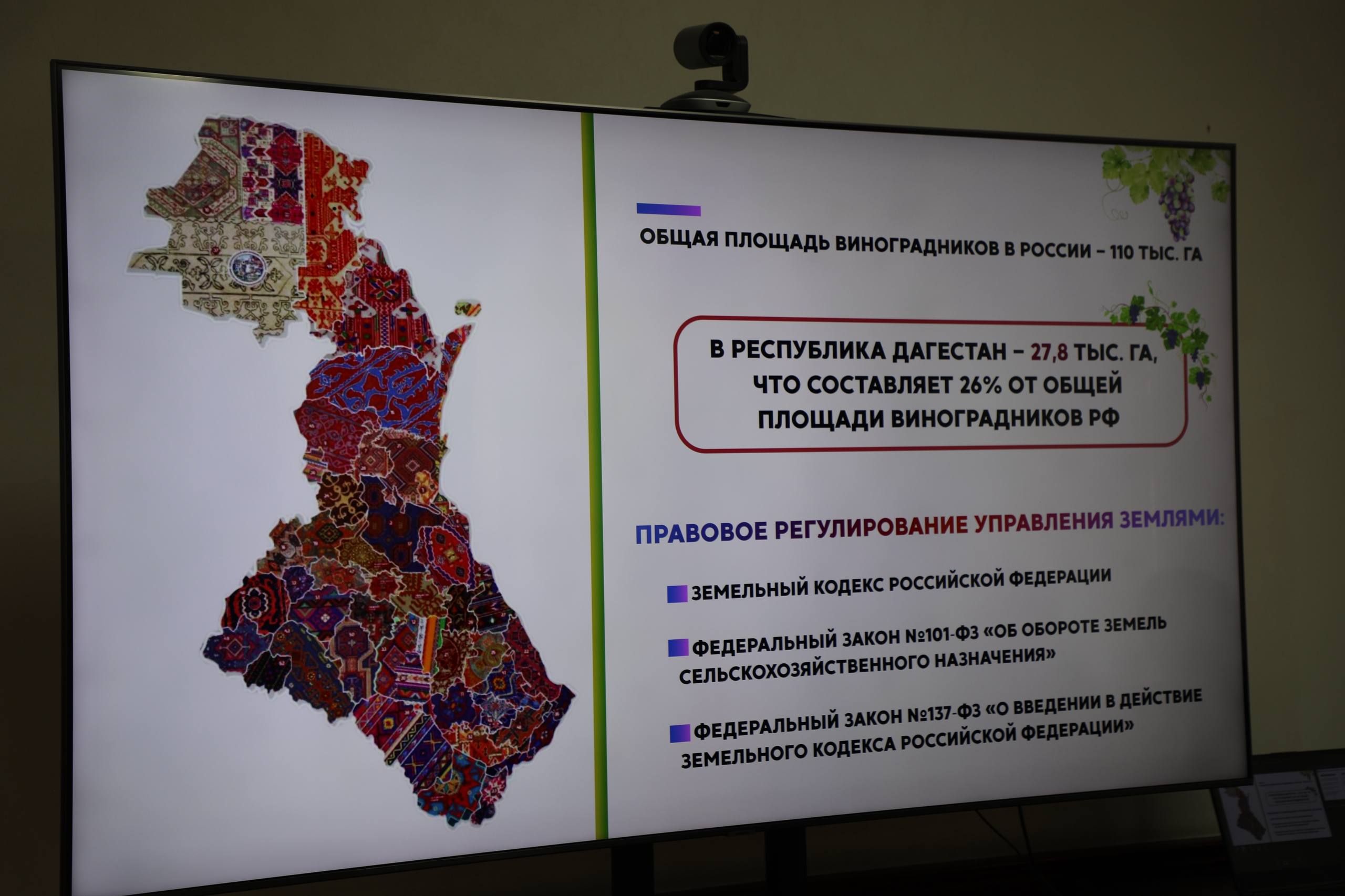 В Дагестане разработают меры по вовлечению виноградопригодных земель в оборот и развитию садоводства в горах