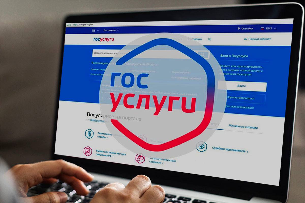 В Каспийске запущена электронная система для обращения о безнадзорных животных