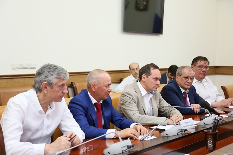 Артём Здунов встретился с представителями чешских компаний