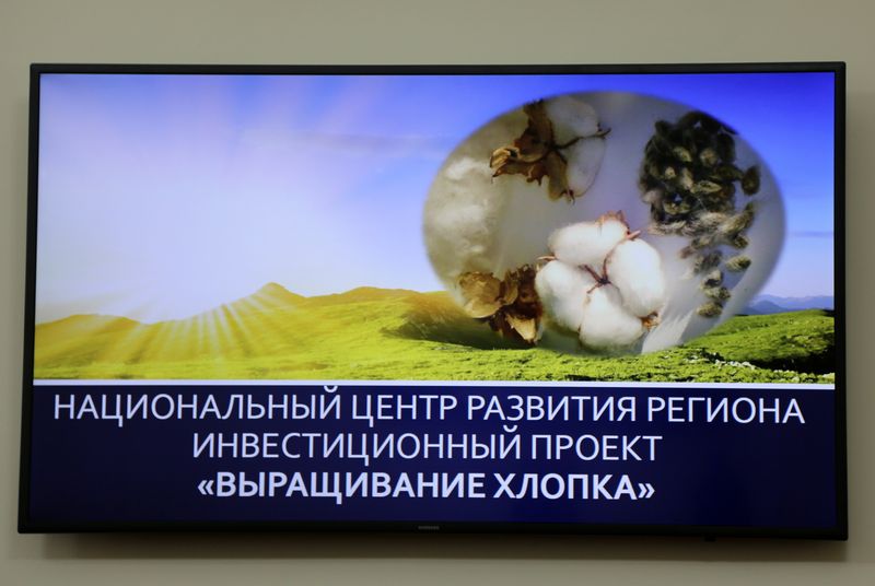 Обсуждена возможная перспектива развития в Дагестане хлопководства