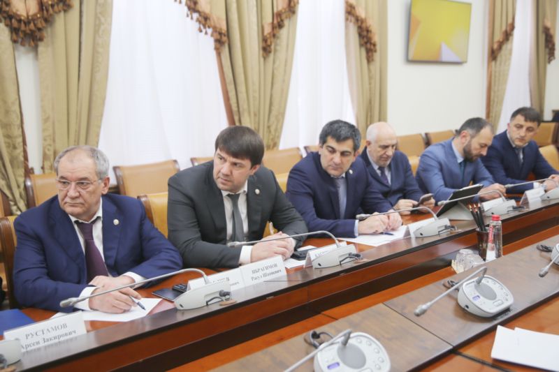 Артём Здунов обсудил с представителями крупной инвестиционной компании «Система» реализацию проектов в Дагестане