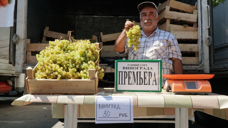 В муниципалитетах Дагестана создадут площадки для стационарной и  уличной торговли сельскохозяйственной продукцией