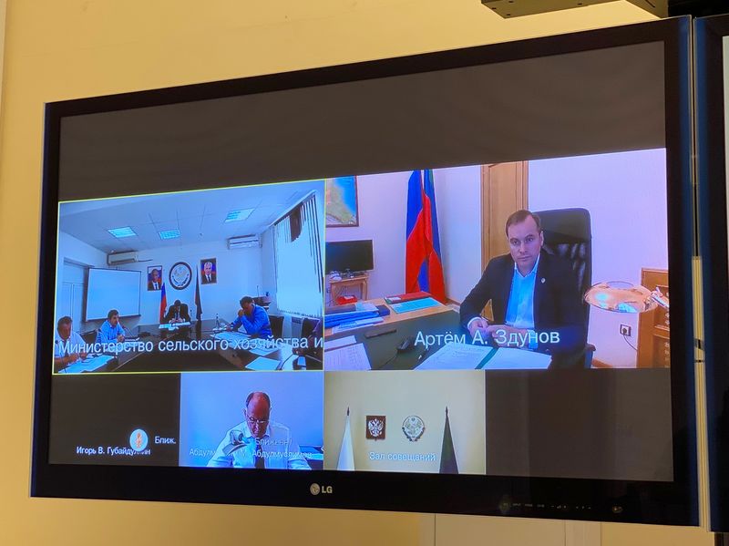 В Правительстве Дагестана рассмотрели возможность поддержки отрасли овцеводства республики
