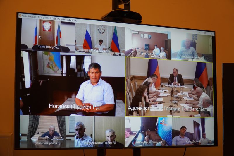 План-программу по профилактике бруцеллёза сформируют в Дагестане