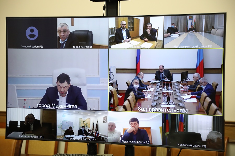 Приюты для бездомных животных построят в Кизилюрте и Дербенте