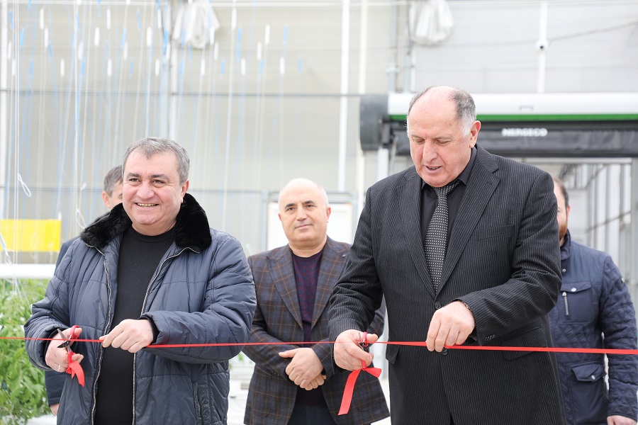 Новый тепличный комплекс открылся в Дербентском районе