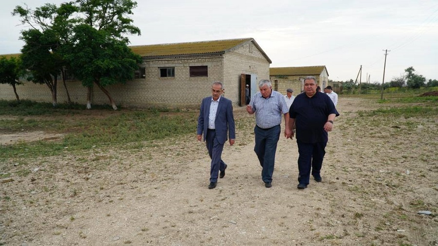 Нариман Абдулмуталибов ознакомился  с работой Заводской конюшни «Дагестанская»