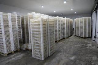 Рыбохозяйственные предприятия Дагестана наращивают объемы производства