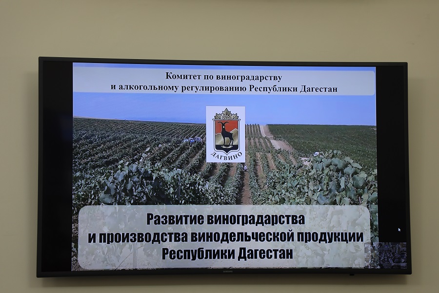 Дагестан может превысить прошлогодние показатели уборки урожая винограда