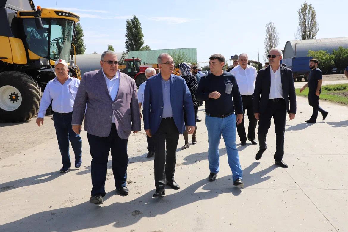 Урожай риса в Дагестане может достигнуть 135 тыс. тонн в 2022 году