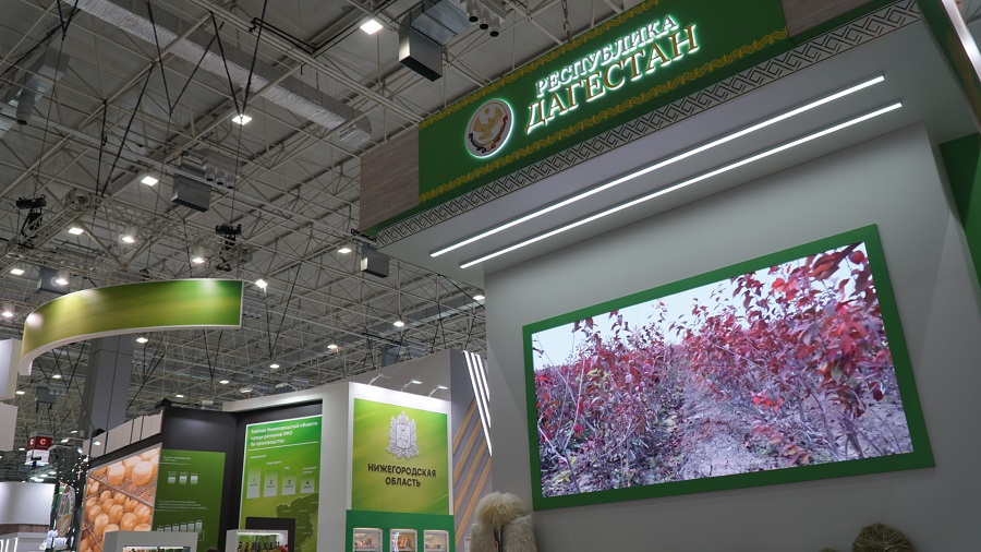 Более 20 дагестанских компаний представляют свою продукцию во Всероссийской выставке «Золотая осень»