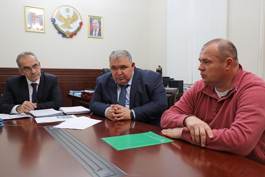 В Дагестане возрождается семеноводство белокочанной капусты