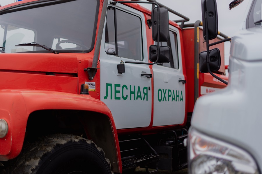 300 деревьев посадили в Дагестане в рамках всероссийской акции «Сохраним лес»