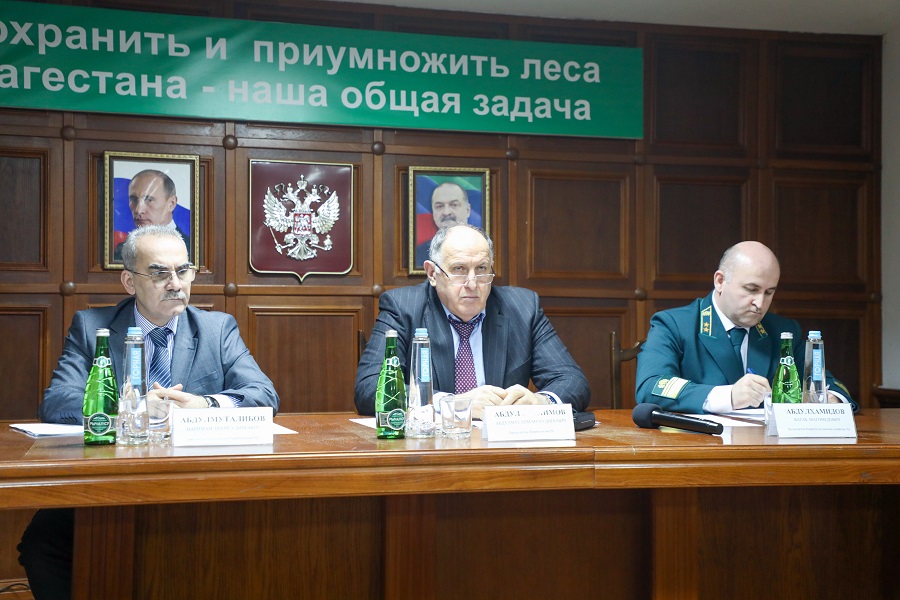 Акции по посадке деревьев в 2023 году будут проходить в каждом муниципалитете Дагестана