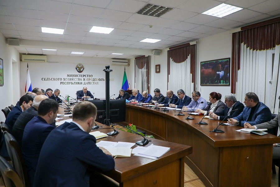 2,3 млрд рублей предусмотрено на поддержку АПК Дагестана в 2023 году