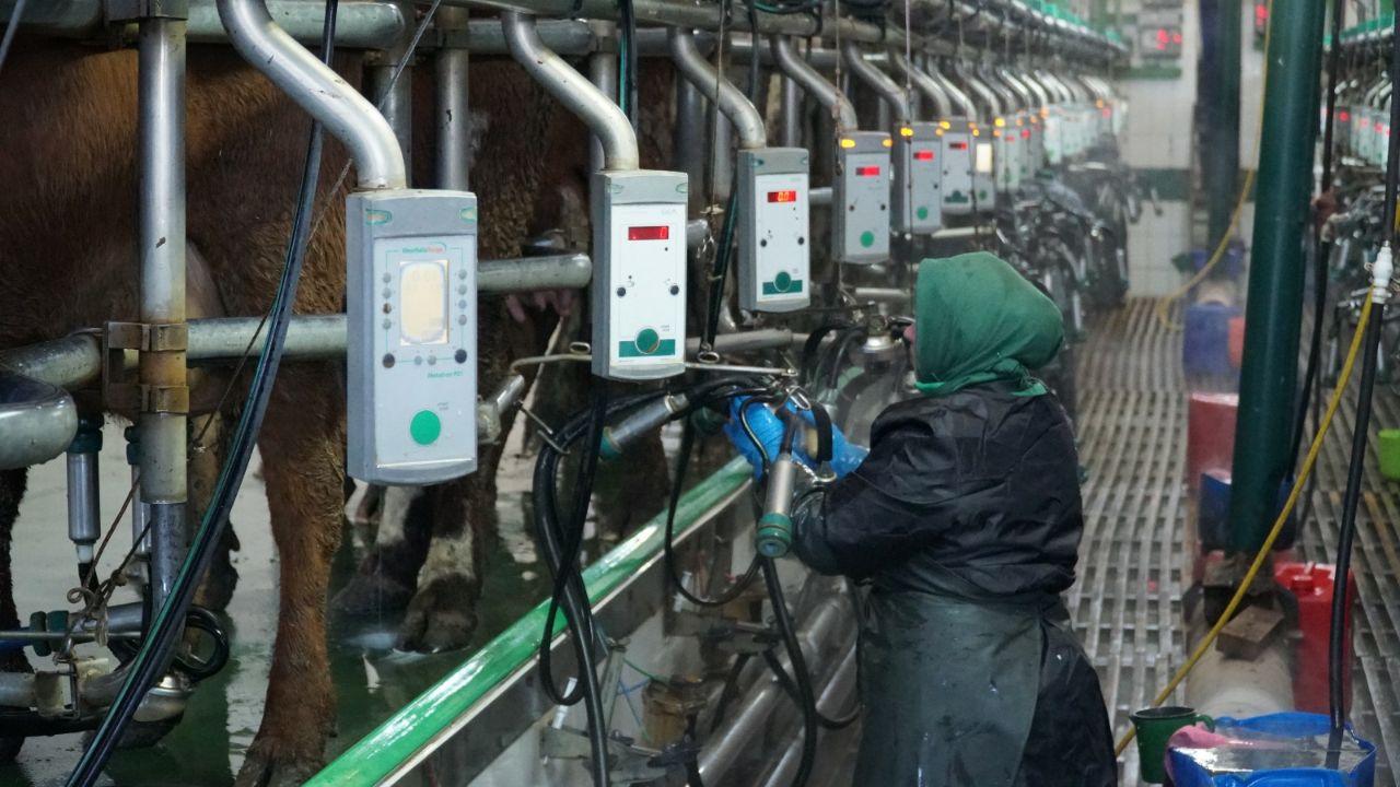 На базе рыбохозяйственного предприятия в Кизлярском районе планируют развивать агротуризм