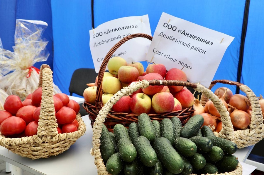 Около 100 российских компаний представили свою продукцию на агропромышленном форуме «ДагАгроКаспий»