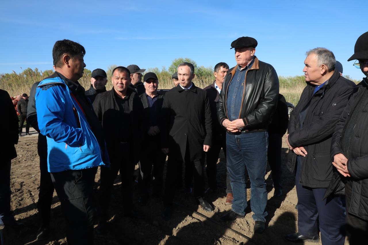 Более 150 га засеяли под лук в Ногайском районе Дагестана