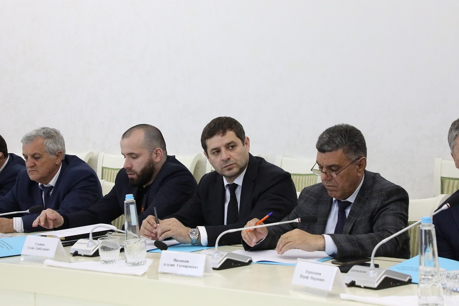 Представители Дагестана в субъектах РФ инициировали реализацию более 10 крупных инвестпроектов в республике