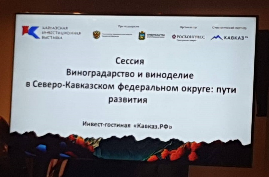На Кавказской инвестиционной выставке рассказали об опыте Дагестана по выращиванию винограда