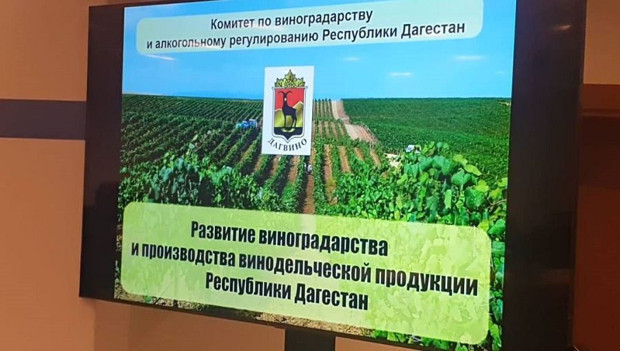 На Кавказской инвестиционной выставке рассказали об опыте Дагестана по выращиванию винограда