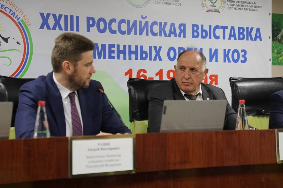 Перспективы развития рынка шерсти обсудили в рамках XXIII Российской выставки племенных овец и коз в Каспийске