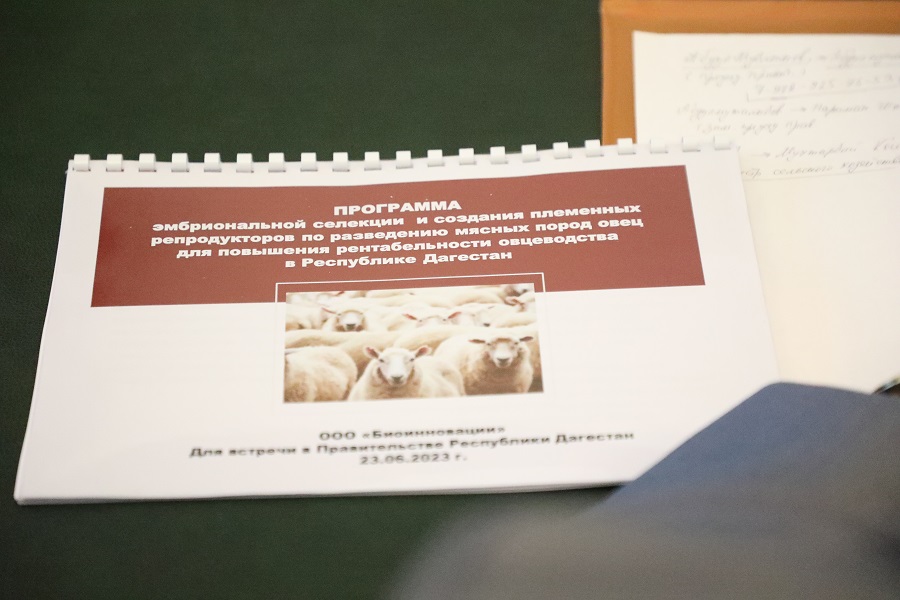 В  Дагестане планируют выводить специализированные мясные породы овец методом эмбриональной селекции