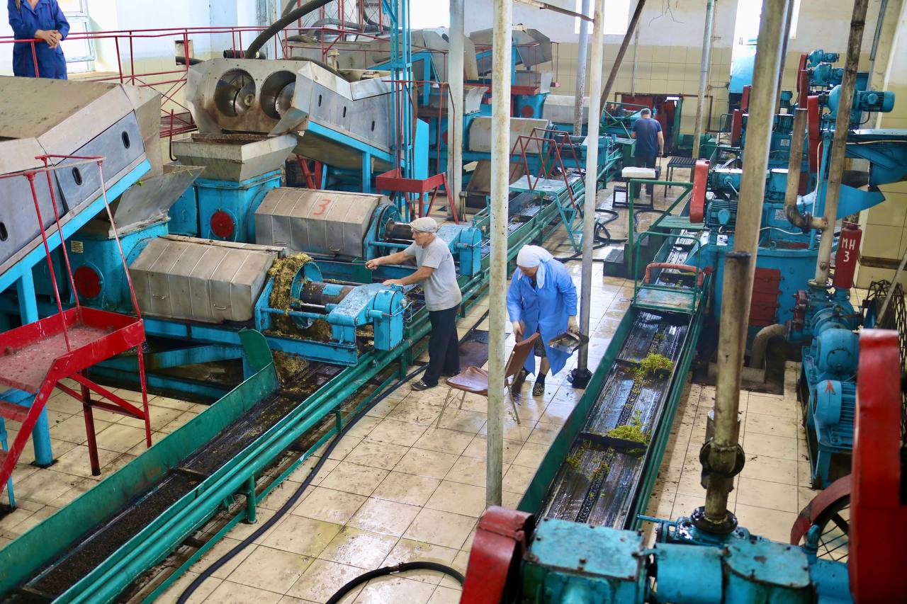 Абдулмуслим Абдулмуслимов оценил мощности цеха по переработке винограда АО «им. Н. Алиева»