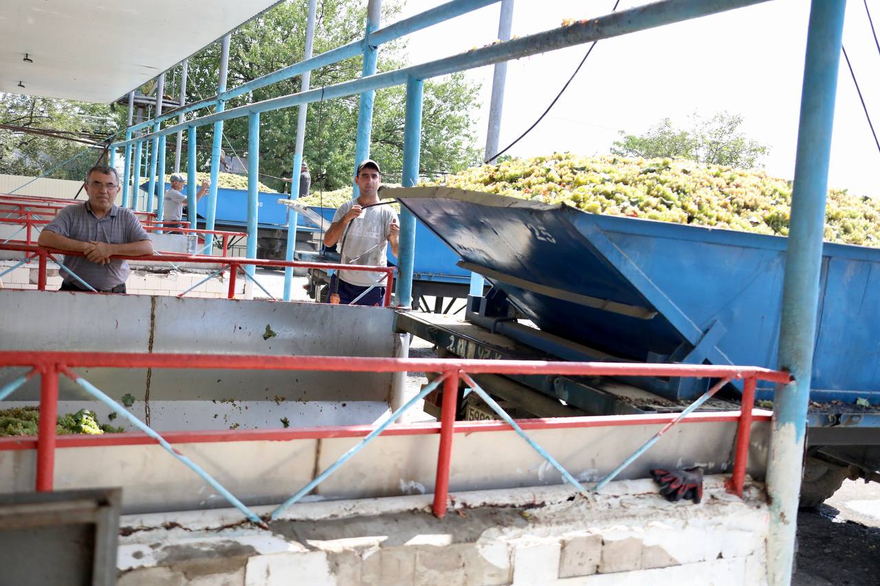 Абдулмуслим Абдулмуслимов оценил мощности цеха по переработке винограда АО «им. Н. Алиева»