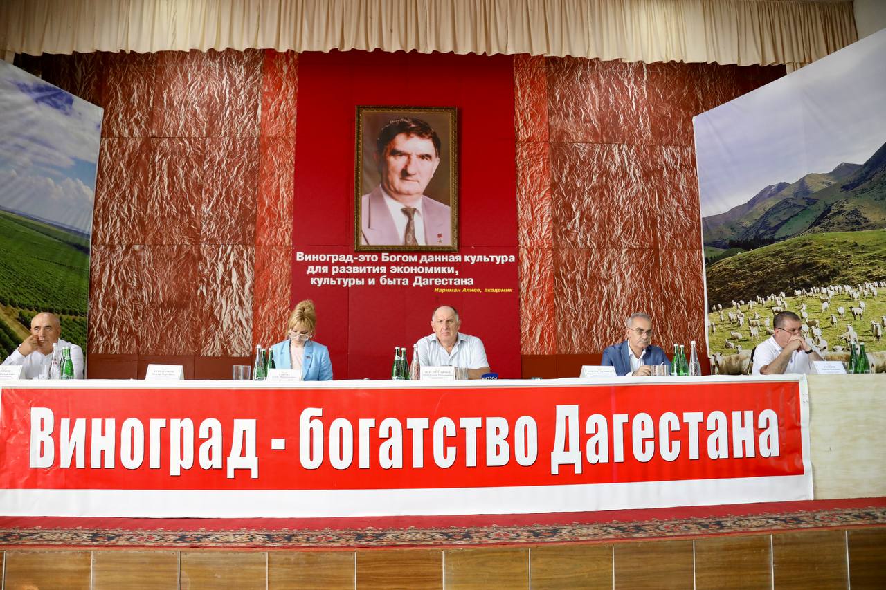 Сбор урожая винограда в Дагестане идет с опережением прошлогодних показателей