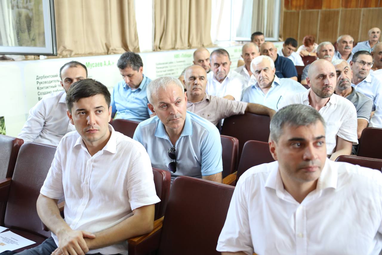 Сбор урожая винограда в Дагестане идет с опережением прошлогодних показателей