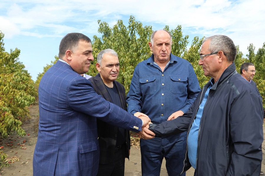Власти помогут аграриям Южного Дагестана не потерять урожай фруктов