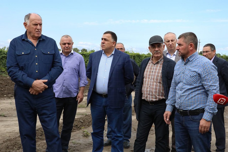 Власти помогут аграриям Южного Дагестана не потерять урожай фруктов