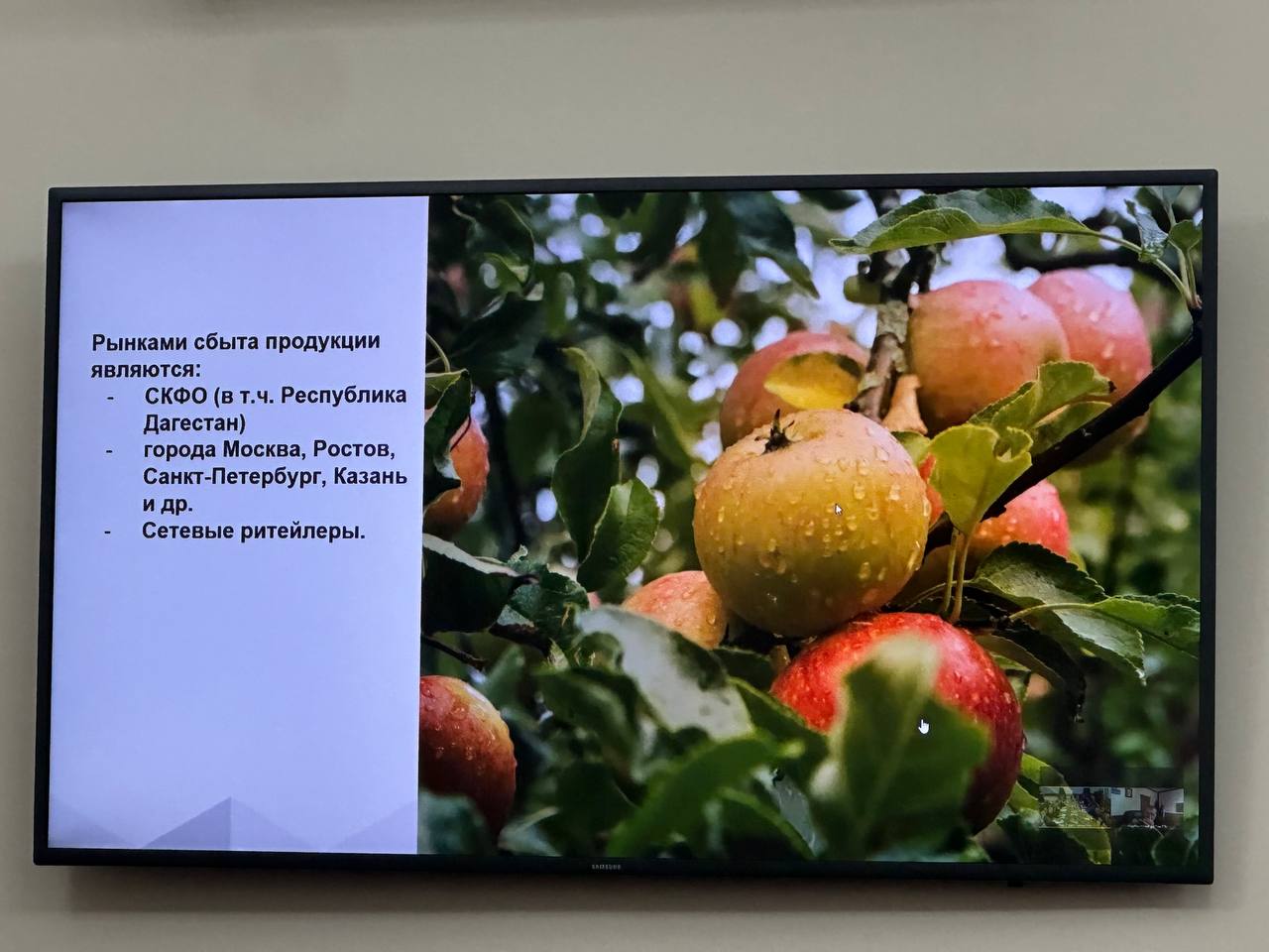 Правительство Дагестана поддержало инвестора, реализующего проект по строительству суперинтенсивного сада в Дербентском районе