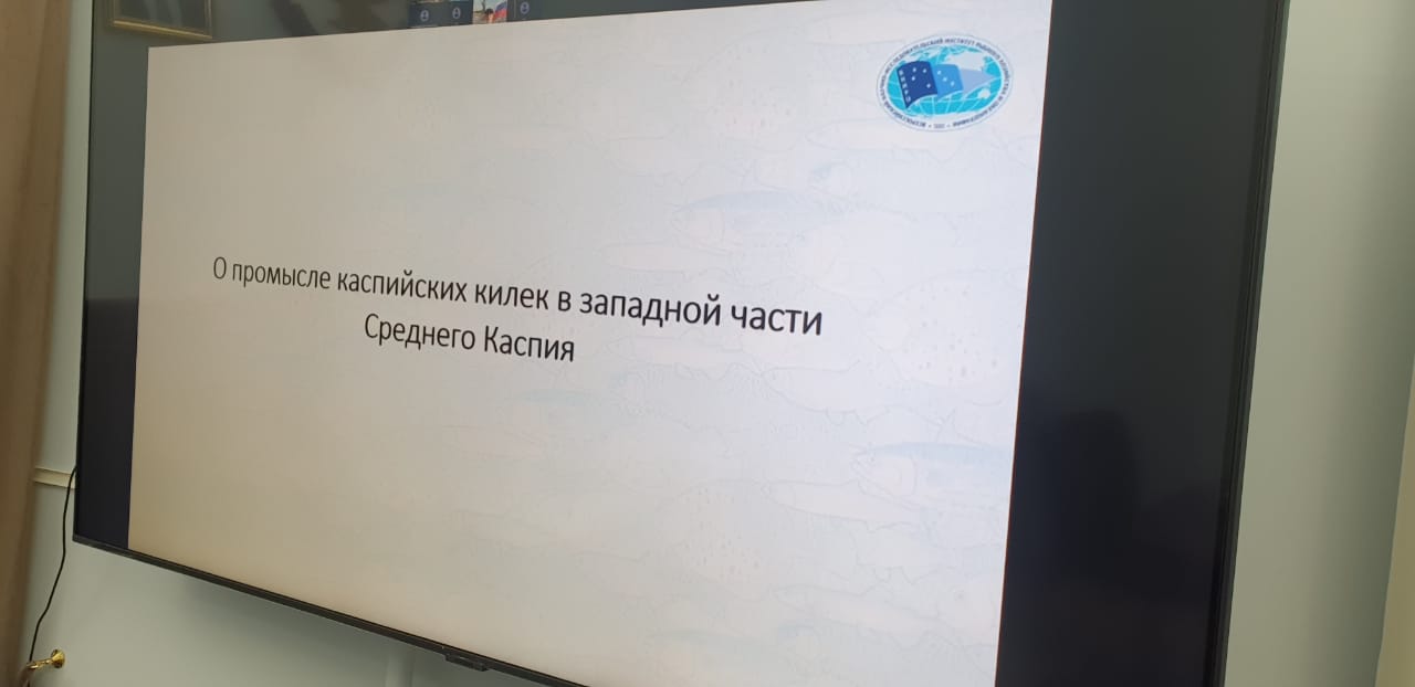 В Дагестане прорабатывают вопрос о создании рыбохозяйственного прибрежного кластера