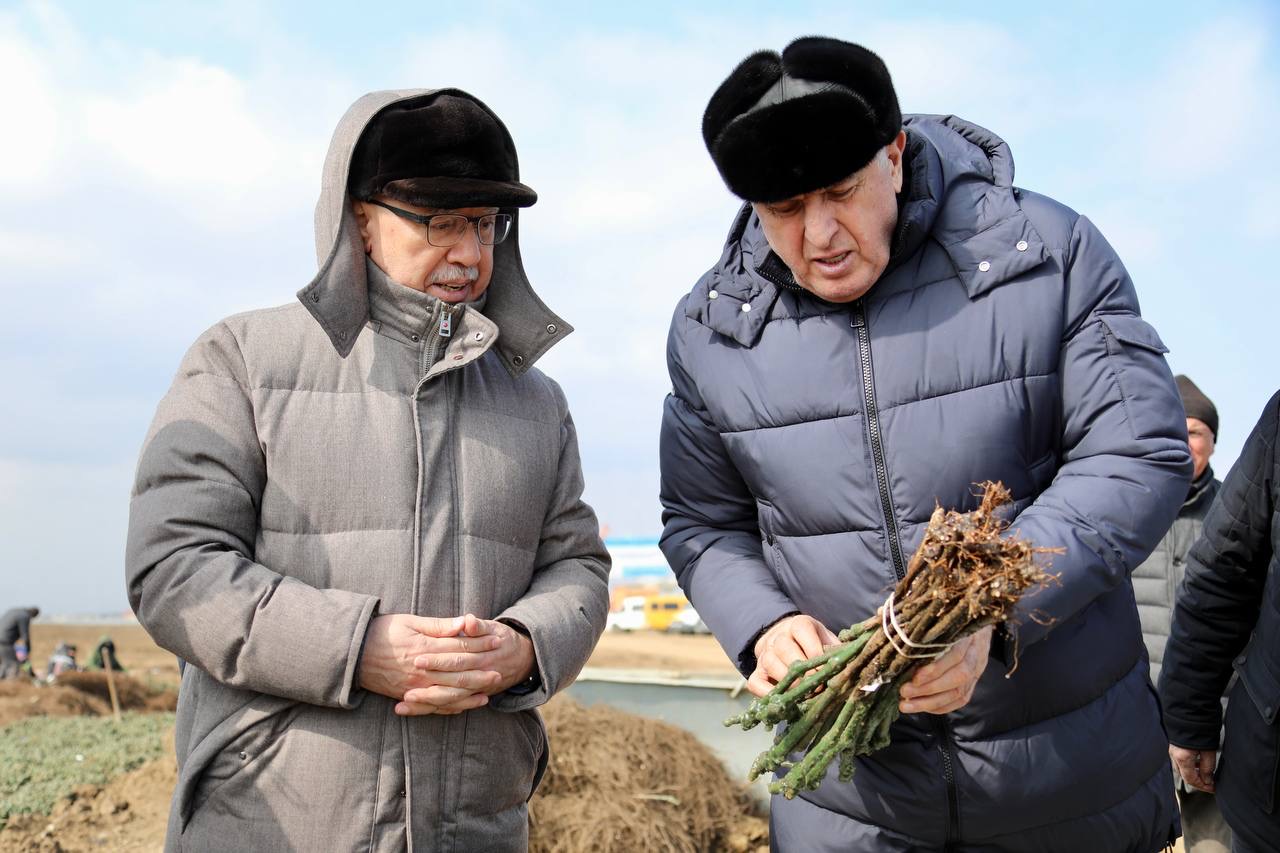 Абдулмуслим Абдулмуслимов дал старт масштабному проекту «Каспийская Лоза» в Дербентском районе