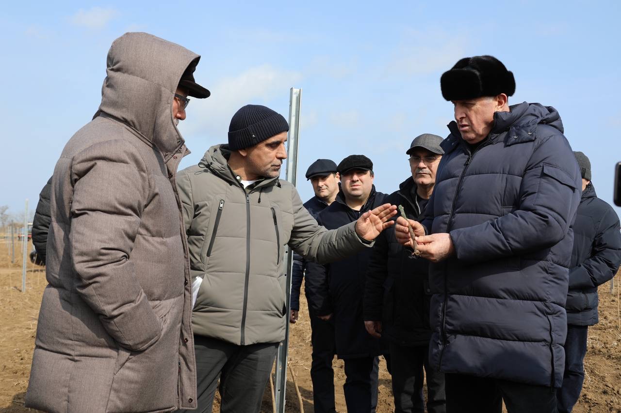 Абдулмуслим Абдулмуслимов дал старт масштабному проекту «Каспийская Лоза» в Дербентском районе