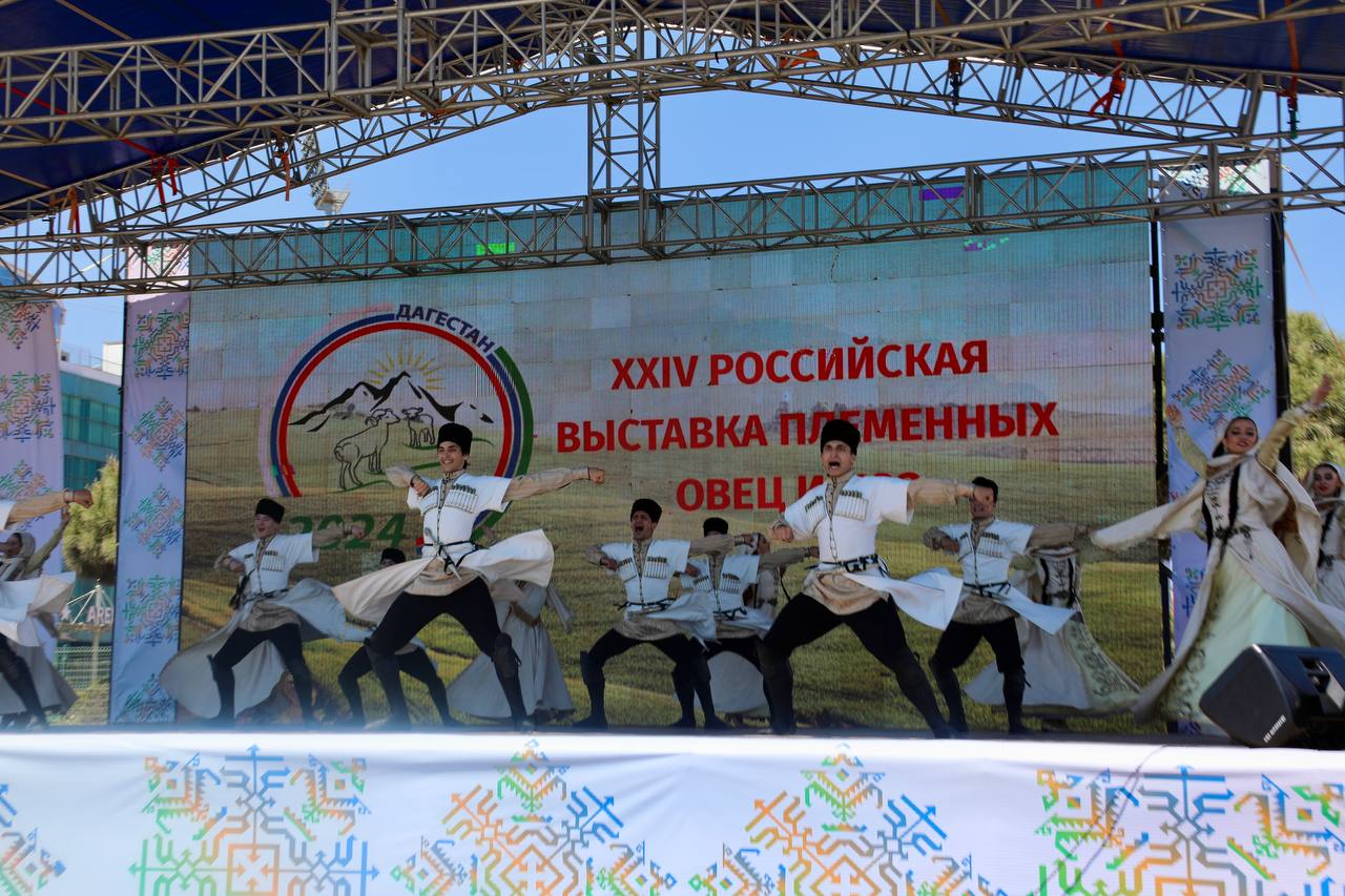 В Дагестане стартовала XXIV Российская выставка племенных овец и коз