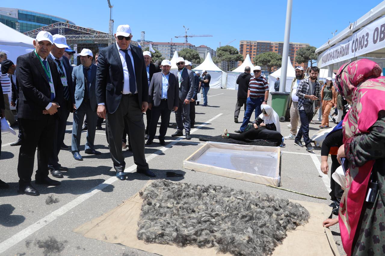 В Дагестане стартовала XXIV Российская выставка племенных овец и коз