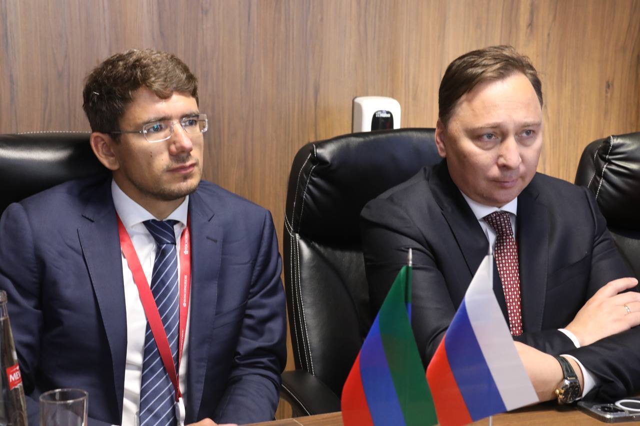 На ПМЭФ обсудили строительство Ногайской солнечной электростанции