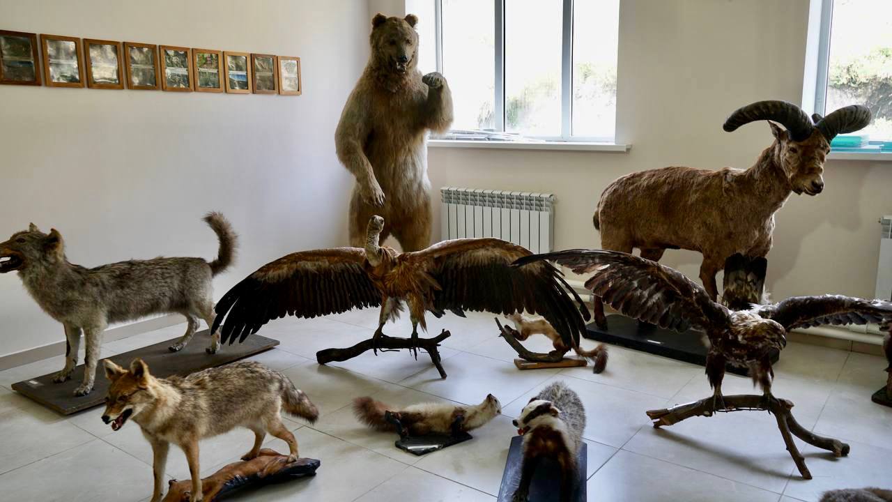 Первая модельная библиотека строится в Агульском районе